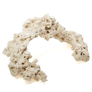 _@}RbN@JX^tOx[X@541756@R[bN@Cp@p΁@fXbN@΃TS