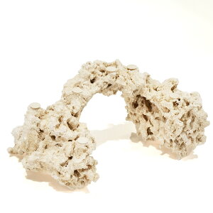 _@}RbN@JX^tOx[X@541761@R[bN@Cp@p΁@fXbN@΃TS