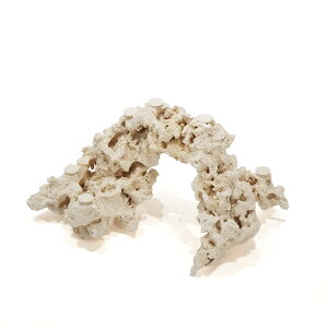 _@}RbN@JX^tOx[X@541762@R[bN@Cp@p΁@fXbN@΃TS