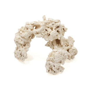 _@}RbN@JX^tOx[X@541769@R[bN@Cp@p΁@fXbN@΃TS