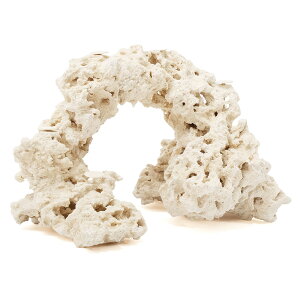 _@}RbN@JX^tOx[X@541770@R[bN@Cp@p΁@fXbN@΃TS