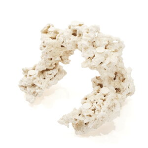 _@}RbN@JX^tOx[X@541774@R[bN@Cp@p΁@fXbN@΃TS