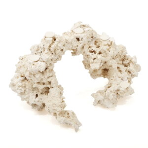 _@}RbN@JX^tOx[X@541775@R[bN@Cp@p΁@fXbN@΃TS