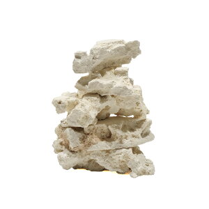 }RbN@XCX@~jTCY@5Zbg@Cp@p΁@fXbN@΃TS