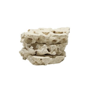 }RbN@XCX@SSTCY@3Zbg@Cp@p΁@fXbN@΃TS