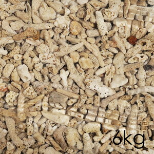 [J[@60n@Cu@R[Th@15i6kgj@s@