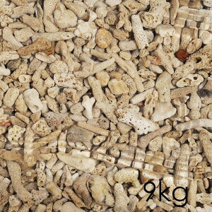 [J[@60n@Cu@R[Th@15i9kgj@s@