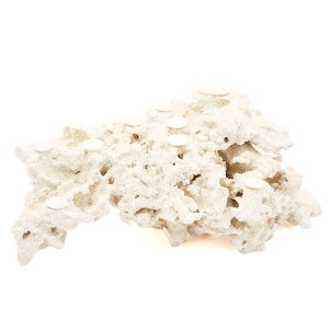 _@}RbN@JX^tOx[X@542221@R[bN@Cp@p΁@fXbN@΃TS