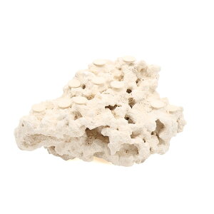 _@}RbN@JX^tOx[X@542225@R[bN@Cp@p΁@fXbN@΃TS