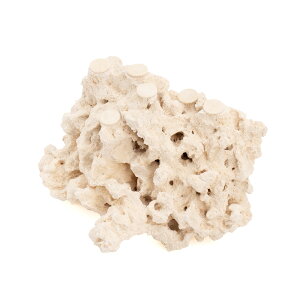 _@}RbN@JX^tOx[X@542229@R[bN@Cp@p΁@fXbN@΃TS