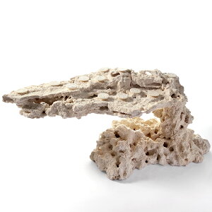 _@}RbN@JX^tOx[X@542296@R[bN