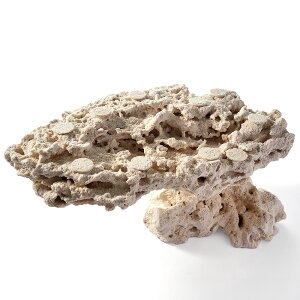 _@}RbN@JX^tOx[X@542299@R[bN