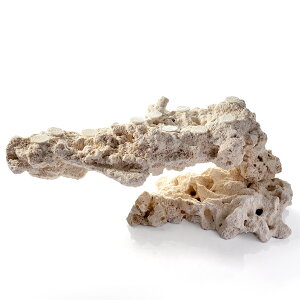 _@}RbN@JX^tOx[X@542301@R[bN