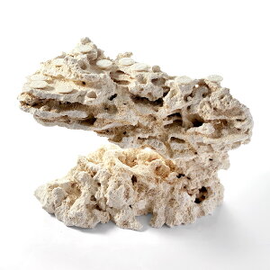 _@}RbN@JX^tOx[X@542311@R[bN