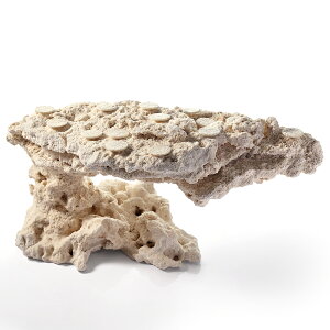 _@}RbN@JX^tOx[X@542312@R[bN