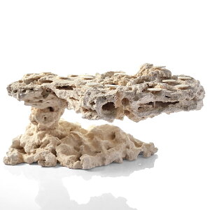 _@}RbN@JX^tOx[X@542313@R[bN