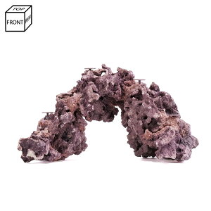 _@}RbN@JX^tOx[X@R[Cbh@542831@Cp@p΁@fXbN@΃TS