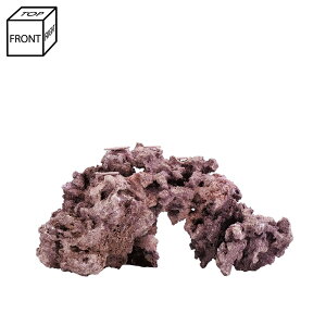 _@}RbN@JX^tOx[X@R[Cbh@542848@Cp@p΁@fXbN@΃TS