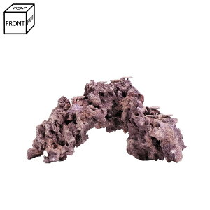 _@}RbN@JX^tOx[X@R[Cbh@542854@R[bN@Cp@p΁@fXbN@΃TS