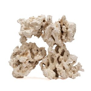 }RbN@[tZ[o[@GbWiEdgej@SSTCY@10kg@Cp@p΁@fXbN@΃TS