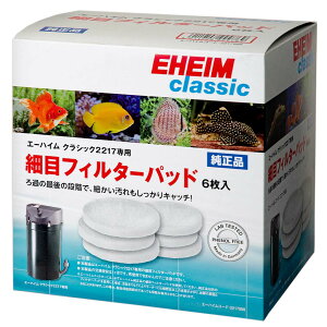 G[nC@זڃtB^[pbh@6@2217p