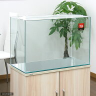 GEX　ガラス水槽　グラステリア600　（60×30×40）　60cm水槽（単体）　ジェックス
