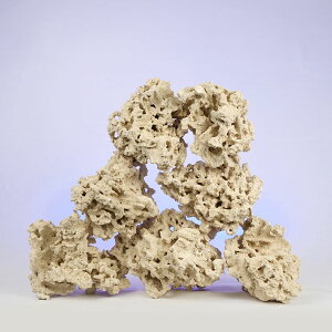 }RbN@[tZ[o[@GbWiEdgej@MTCY@8`10kg@Cp@p΁@fXbN@΃TS