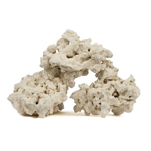 }RbN@[tZ[o[@GbWXiEdgelessj@STCY@2`3kg@Cp@p΁@fXbN@΃TS