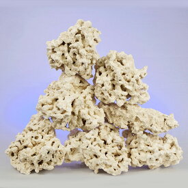 マルコロック　リーフセーバー　エッジレス（Edgeless）　Mサイズ　8〜10kg　海水水槽用　水槽用石　デスロック　化石サンゴ
