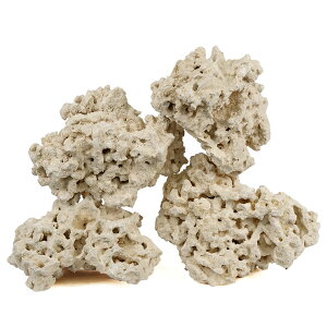 }RbN@[tZ[o[@GbWXiEdgelessj@LTCY@8`13kg@Cp@p΁@fXbN@΃TS