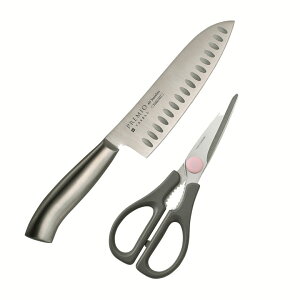 [|Cgő15{] NZ 31812 v~IAS OELb`͂ Lb`2_Zbg