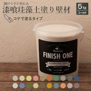 [9Gg[P10{!] t^JĂh ]y Ǎ rj[ǎɒړh ]y e5kg 3`4 a    dグ PC\E FINISH ONE EB DIY 