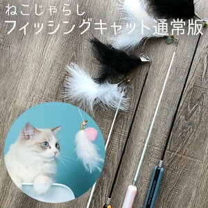 [10Gg[P10{!] L̂ ˂炵 utBbVOLbg ʏv AW-C-010 ybgpi xp[gi[