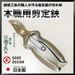 [10Gg[P10{!] ORn @ƏGv T-22 {EpXeX BB200S