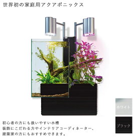楽天市場 水槽セットの通販