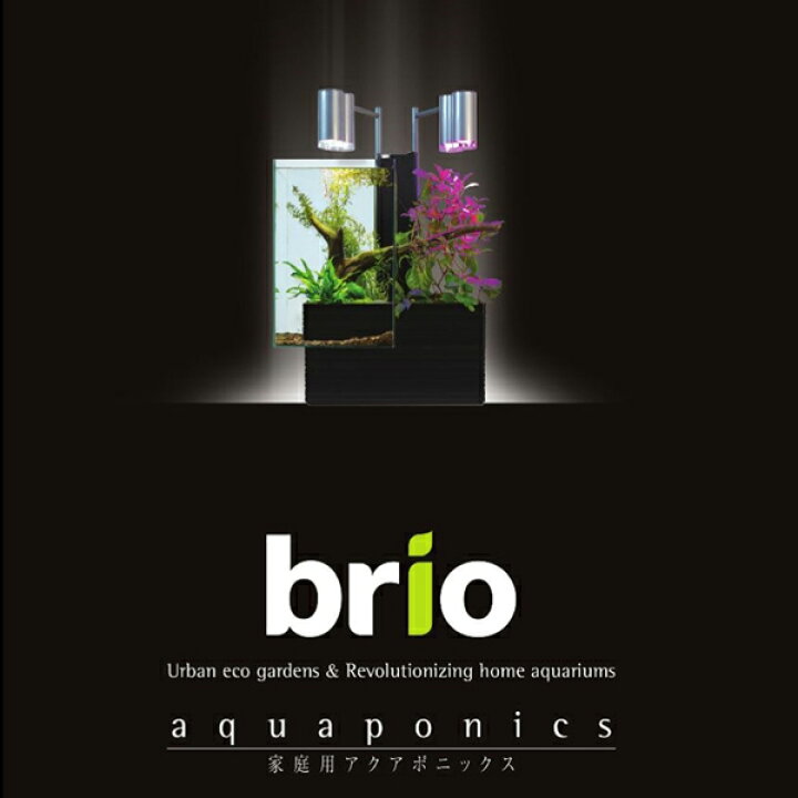 楽天市場】[3月エントリーでP10倍] ベムパートナー brio35 水槽セット  