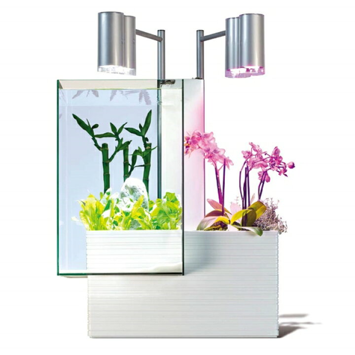 楽天市場】[3月エントリーでP10倍] ベムパートナー brio35 水槽セット  