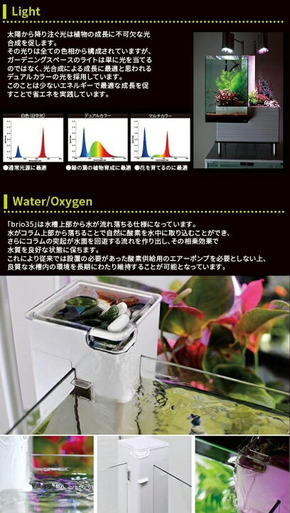 楽天市場】[3月エントリーでP10倍] ベムパートナー brio35 水槽セット  