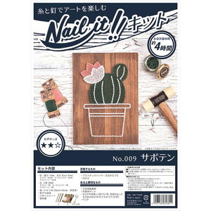 [|Cgő15{] XgOA[g NKIT009 lCCbg Lbgi 009(T{e) A[g  H CeA fBXvC | 䶗ďC