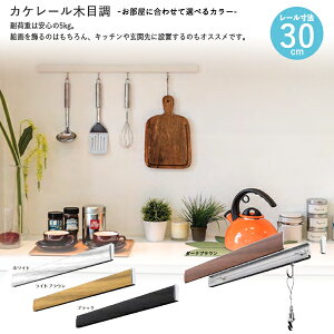 [|Cgő15{] Y KLM030 (sN`[[)JP[ؖڒ NACZbg 30cm zCg CguE _[NuE ubN DIYEK[fjO z CeA 