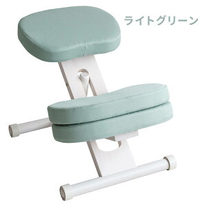 ypǂȂ֎qz qp wK֎q NbVtv|[V`FA LbY CH-889CK CH-N889CK i`r Cgi`r zCgr wK ׋ h wj w  