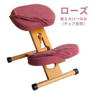 ypǂȂ֎qzv|[V`FApւJo[ (ʂƕG2Zbg) `FAʔ CV-8K CV-8W wK ׋ h wj w  {쏊 wK ׋ h wj 