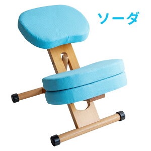 ypǂȂ֎qz qp wK֎q NbVtv|[V`FA LbY CH-889CK CH-N889CK i`r Cgi`r zCgr wK ׋ h wj w  