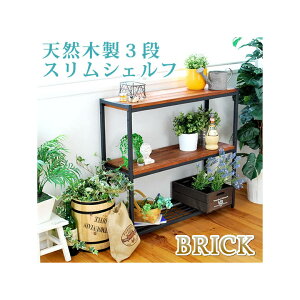 [10Gg[P10{!] VRؐXbN3iyȒPg 3i AeB[N _ i` IC ~bhZ`[ Ebh X^CbV Vv VFt bN nK[ C