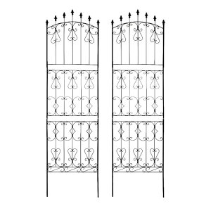 [Gg[P+5{] ACA[YtFX220 nC^Cv 2gytFX ACA K[ftFX K[fjO g  d؂ ډB  NVJ AeB[N gX x_ 