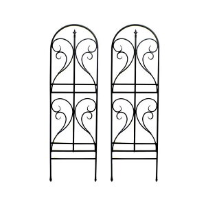 [|Cgő15{] ACAgX tBjA 2gytFX Q[g  ACA K[ftFX K[fjO g  d؂ ډB  NVJ AeB[N gX x_