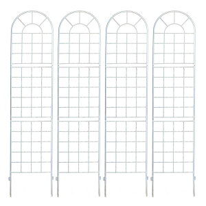 [|Cgő15{] NVbNtFX220 nC^Cv 4gytFX ACA K[ftFX K[fjO g  d؂ ډB  NVJ AeB[N gX x_  