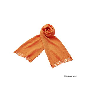 [10Gg[P10{!]  }t[{^I Xu O^Cv J[No.28 F