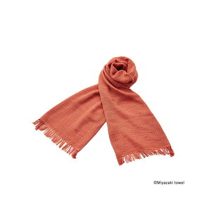 [_tf[P10{!]  }t[{^I Xu O^Cv J[No.29 