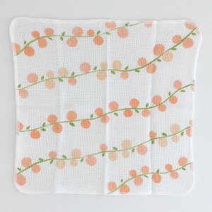 [|Cgő15{] cD Cm_nӂ G ʋC  z jbg H@nJ` g₷ ӂ  킢 Mtg v[g 䏊 q | Lb` N